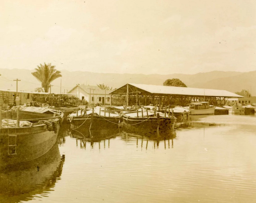 De espiões nazistas a frutas para a realeza, conheça os segredos da Fazenda dos Ingleses