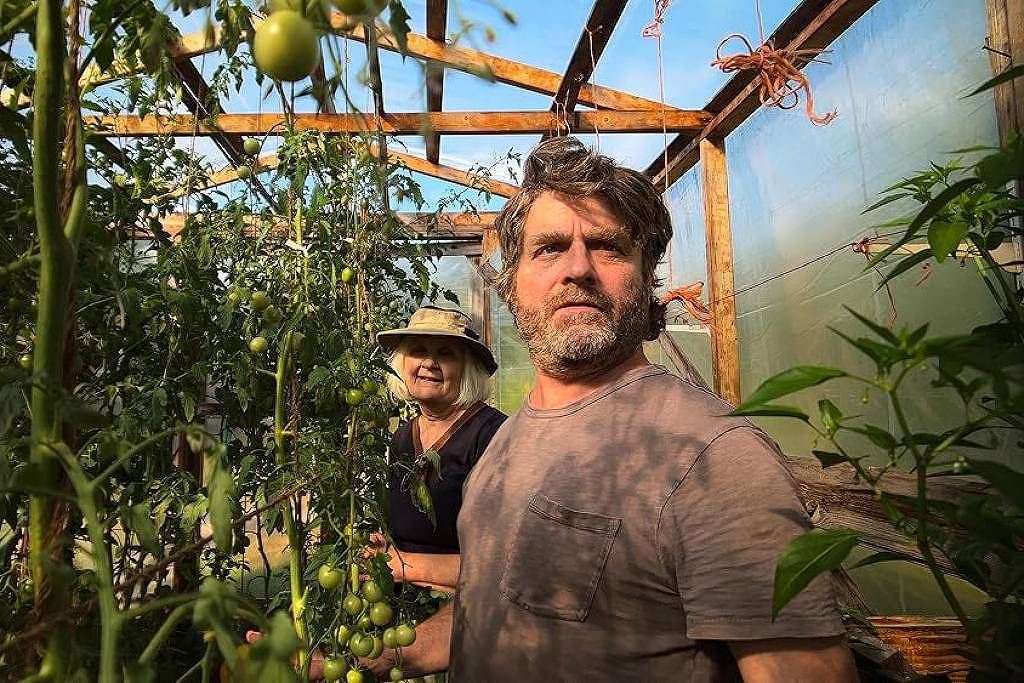 'Marty Supreme' e 'Mãos na Terra': o que ver na TV e no streaming nesta quarta