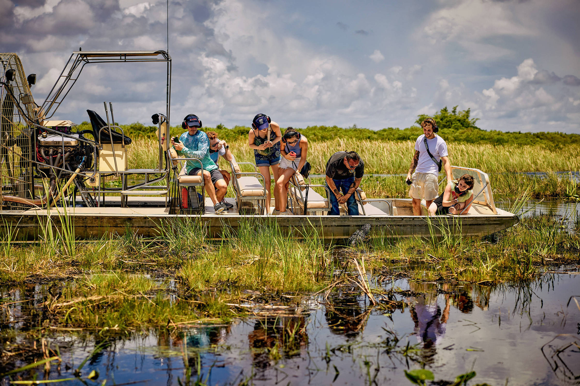 Fazenda nos Everglades permite ver aligátores, primos americanos dos jacarés