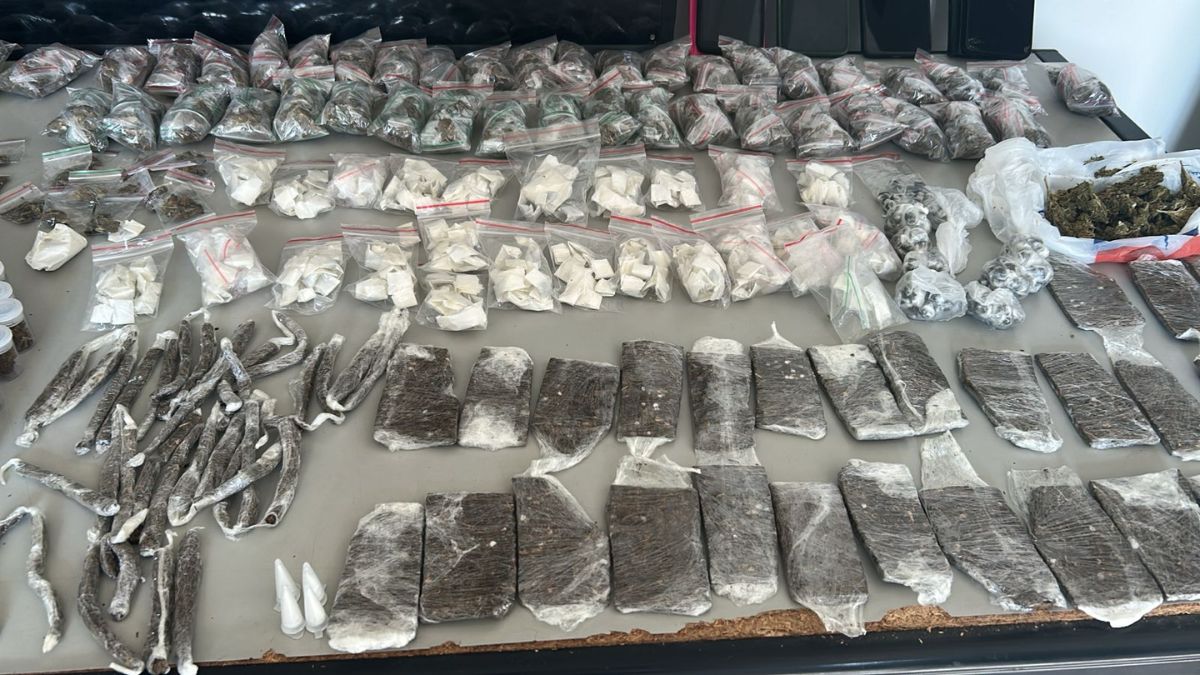 Polícia Civil desmonta central de disk drogas em Santos e Praia Grande