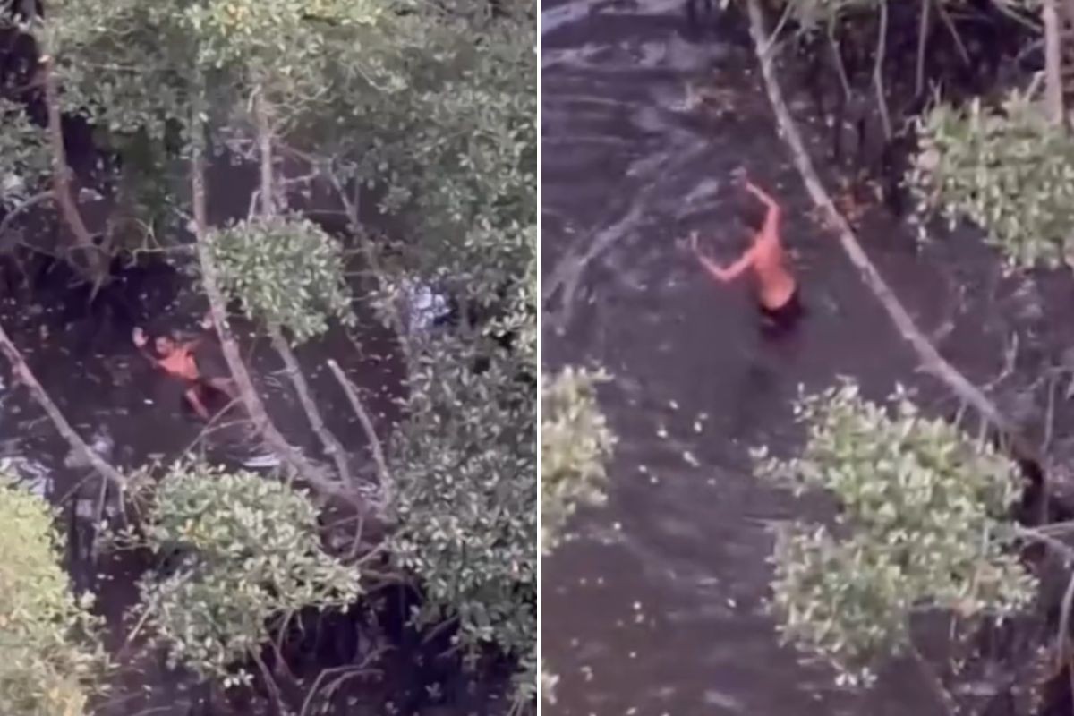 Suspeito de tráfico é preso após se esconder em mangue durante ação da PM com apoio do Águia em SP